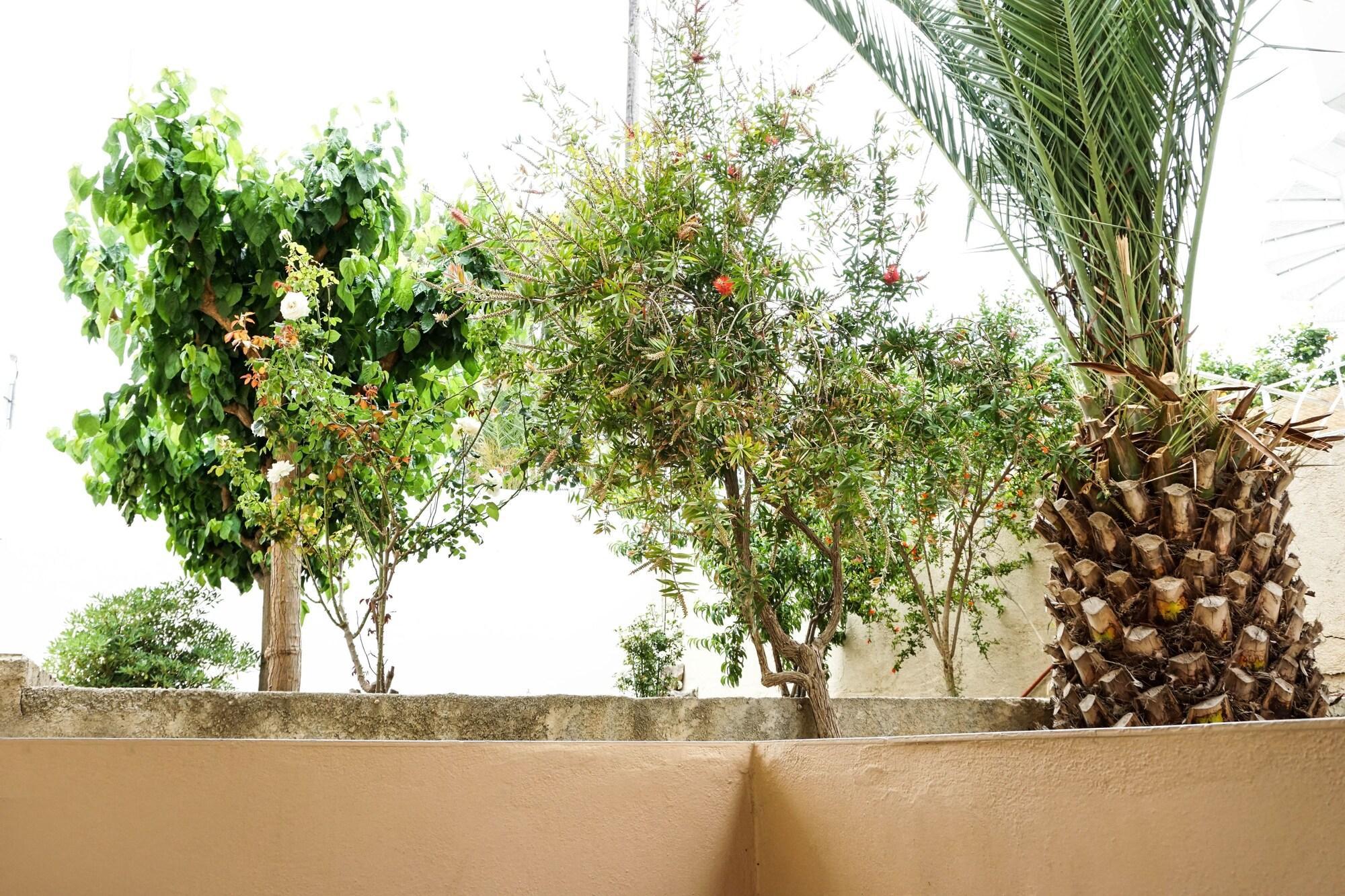 Dioni Hotel Adelianos Kampos Bagian luar foto